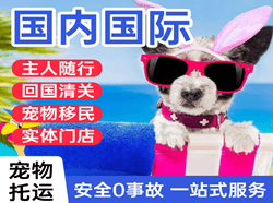 信阳明港机场邮寄国际宠物托运 【国